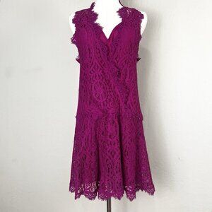 Free People Lace Mini Dress Heart‎ in Two Pink Lined Drop Waist V-Neck Size XS